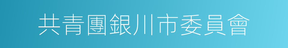 共青團銀川市委員會的同義詞