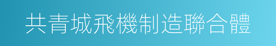 共青城飛機制造聯合體的同義詞