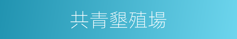 共青墾殖場的同義詞