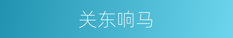 关东响马的同义词