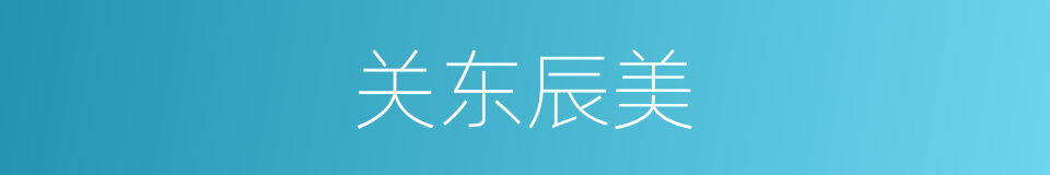 关东辰美的同义词