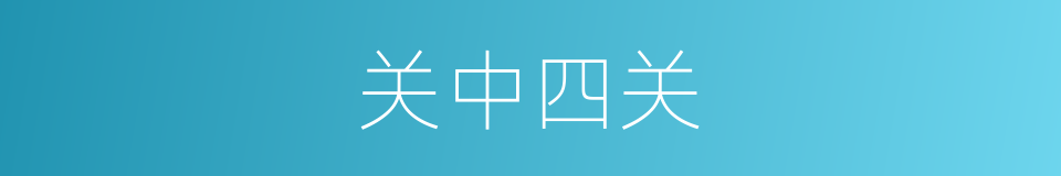 关中四关的同义词
