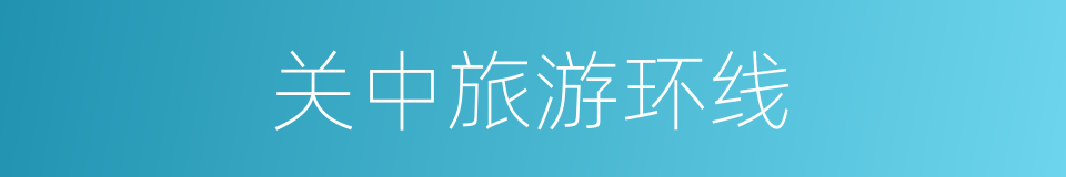 关中旅游环线的同义词
