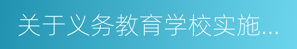 关于义务教育学校实施绩效工资的指导意见的同义词