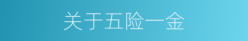 关于五险一金的同义词