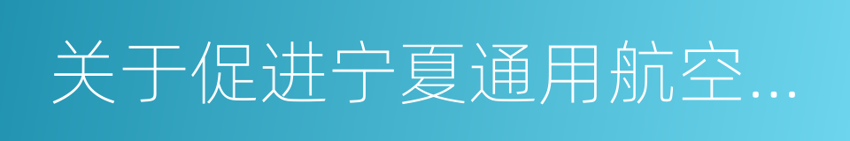 关于促进宁夏通用航空业发展的实施意见的同义词