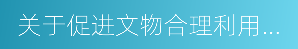 关于促进文物合理利用的若干意见的同义词