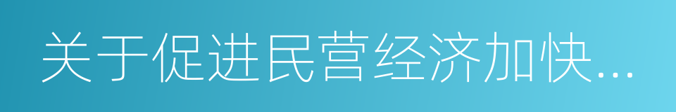 关于促进民营经济加快发展的若干意见的同义词