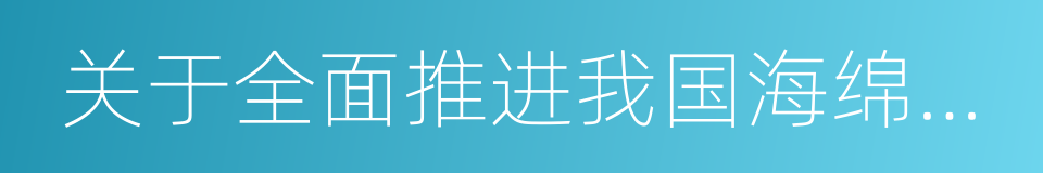 关于全面推进我国海绵城市建设的建议的同义词