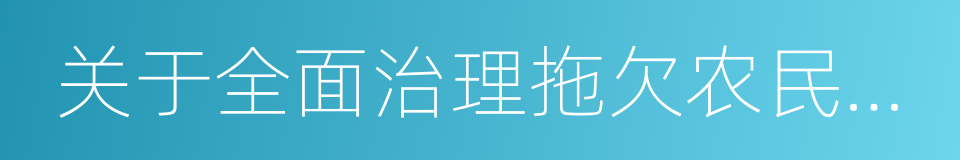 关于全面治理拖欠农民工工资问题的实施方案的同义词