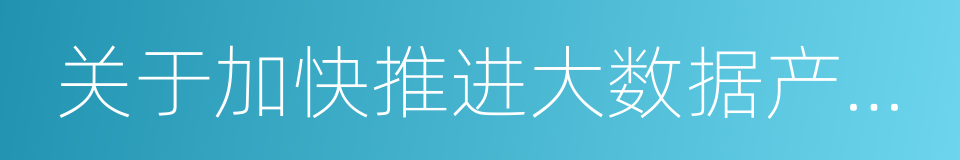 关于加快推进大数据产业发展的实施意见的同义词