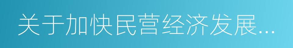 关于加快民营经济发展的意见的同义词