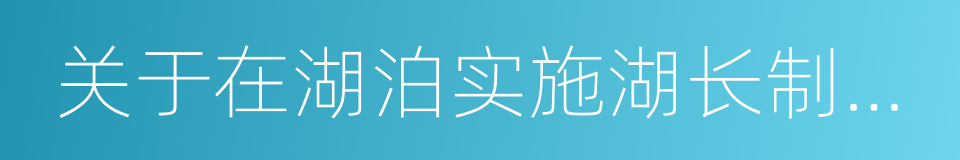 关于在湖泊实施湖长制的指导意见的同义词