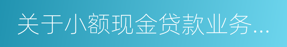 关于小额现金贷款业务的风险提示的同义词