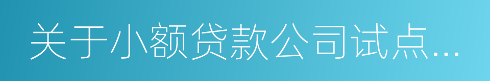 关于小额贷款公司试点的指导意见的同义词