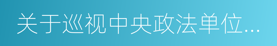 关于巡视中央政法单位情况的专题报告的同义词