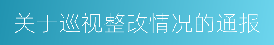 关于巡视整改情况的通报的同义词