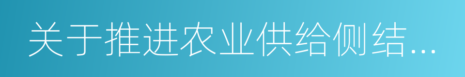 关于推进农业供给侧结构性改革的实施意见的同义词