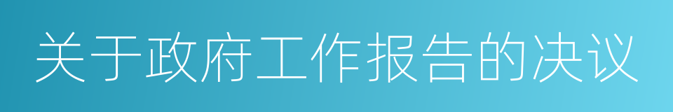 关于政府工作报告的决议的同义词