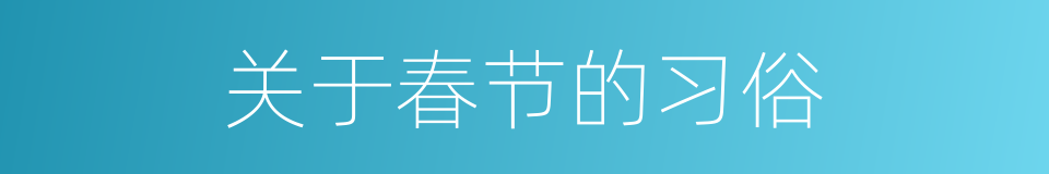 关于春节的习俗的同义词