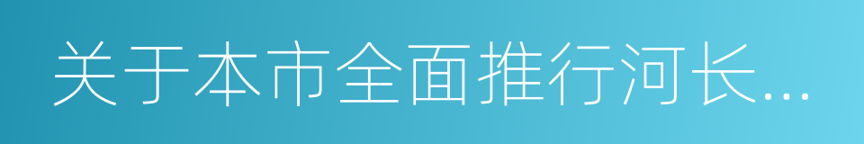 关于本市全面推行河长制的实施方案的同义词