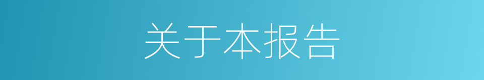 关于本报告的同义词