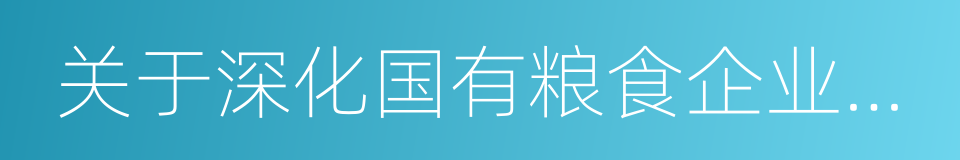 关于深化国有粮食企业改革的指导意见的同义词