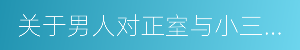 关于男人对正室与小三的态度调查报告的同义词