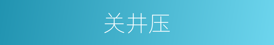 关井压的同义词