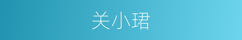 关小珺的同义词