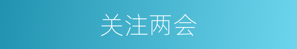 关注两会的同义词