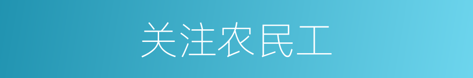 关注农民工的同义词