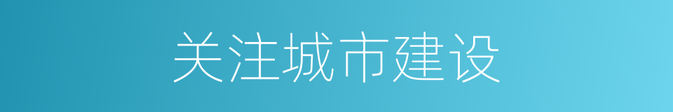 关注城市建设的同义词