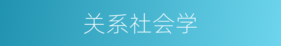 关系社会学的同义词