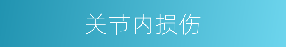 关节内损伤的同义词