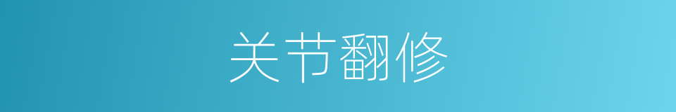 关节翻修的同义词