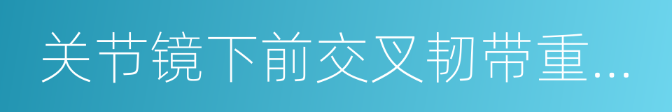 关节镜下前交叉韧带重建术的同义词