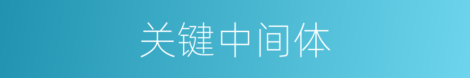 关键中间体的同义词