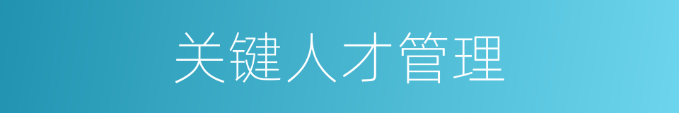 关键人才管理的同义词