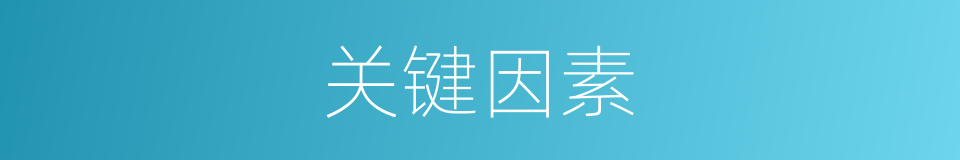 关键因素的意思