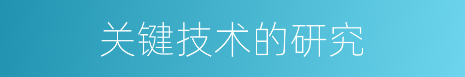 关键技术的研究的同义词