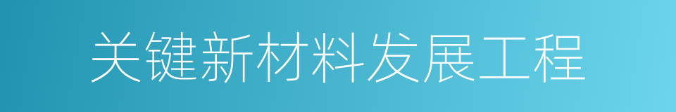 关键新材料发展工程的同义词