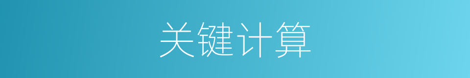 关键计算的同义词