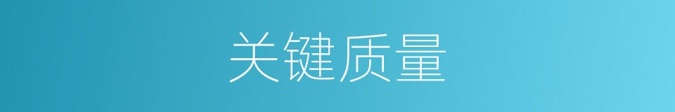 关键质量的同义词