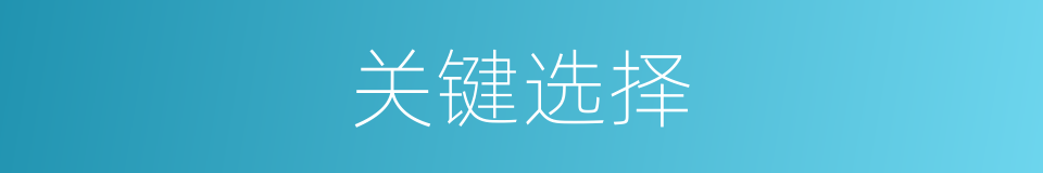 关键选择的同义词