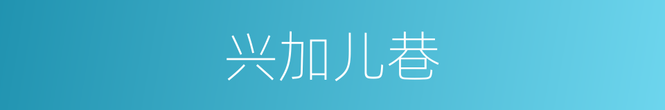 兴加儿巷的同义词