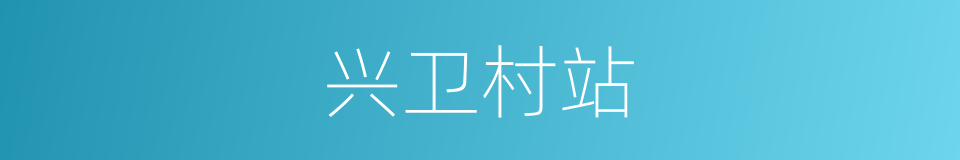 兴卫村站的同义词