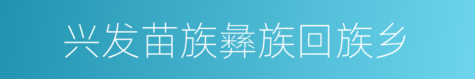 兴发苗族彝族回族乡的同义词