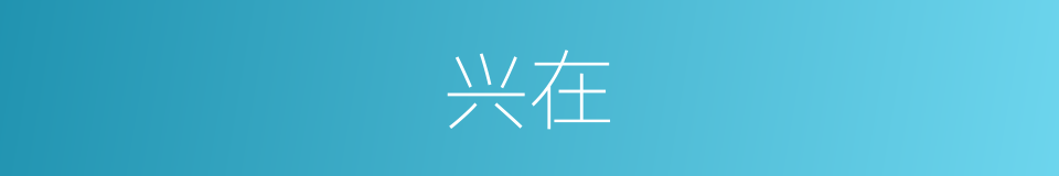 兴在的同义词