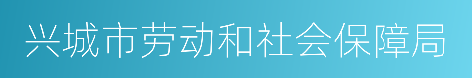 兴城市劳动和社会保障局的同义词